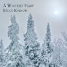 A Winter's Harp by Bruce Kurnow