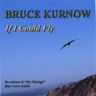 If I Could Fly by Bruce Kurnow
