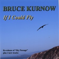 If I Could Fly by Bruce Kurnow