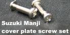 Suzuki Manji Sextet Cover Plate Screws - Bag of 2